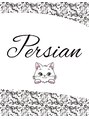 ペルシャ 坂戸駅前店(Persian)&nbsp;TAKAYUKI 