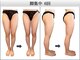 椿(TSUBAKI)の写真