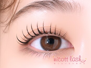 ニコットラッシュ 京橋店(nicott lash)の写真/［京橋/マツパ/眉毛］大人気★眉毛アイブロウ+まつげパーマ￥6050＞一度受けたらヤミツキになる方続出中♪