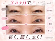 アイラッシュバーリー バイ ノブグループ(EYE LASH BARLEY by NOB GROUP)/伸びる自まつげ【まつげパーマ】