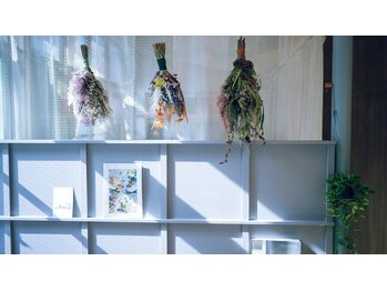 コトンアトリエ アイ アンド ビューティー(COTON atelier eye & beauty)/atelier店 店内