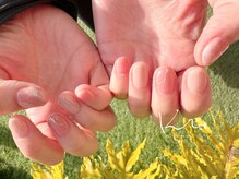 クレー(Klee)/Simple Design