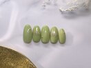 定額Bコース¥8800