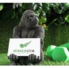 ジャングルジム 浜北店(JUNGLE GYM)のお店ロゴ