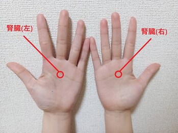 フェニーチェ(FENICE)/ストレスで腎臓が弱っている方!