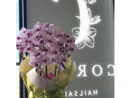 コリコネイル(Coriko_nail)の写真