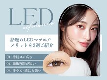 ルクール 亀貝店(Le Coeur)/LEDマツエクメリット3選