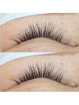 アンド シル アイラッシュサロン(& Cil)/3Dラッシュ 120束