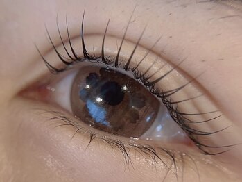 アイラッシュサロンラコタ 池袋東口店(RACOTA)/ラッシュリフト