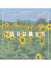 フラットラッシュ★付け足し60本 ¥3500
