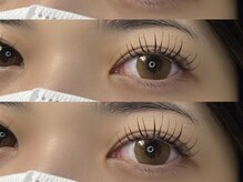 オーク 兵庫(OAK)/フラットラッシュ 120本