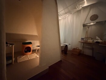 コクーン(cocoon)/3階ソロよもぎ蒸し専用ルーム