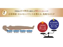 リーズリアン(Rises Lien)/世界初ピコ単位の電流が流れる！