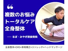 るぽ みやぎ野接骨院/肩こり　背中のコリ　腰痛