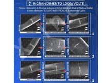 トトルナ(totoluna)/マイラミネーションの毛の変化