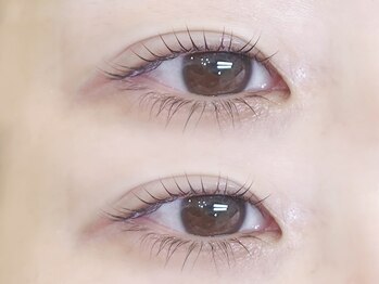 ライラ(LAiLA)/まつ毛パーマ/まつパ/亀有