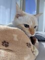 エイプリルプラス(April plus)&nbsp;たまにしか出会えない、事務員さん(Qooくん)