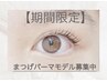 【7月限定!練習モデル募集】まつげパーマ☆オプションフルコース¥5500