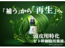 仙豆のちから 札幌大通店/育毛・頭皮ケア特化オプション