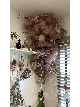 しわ華/癒やしのパートナー