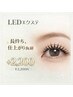 【モチを良くしたいなら！】LEDマツエク +¥2200