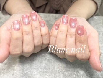 ブランネイル(BLANC.nail)/マグネットジェル