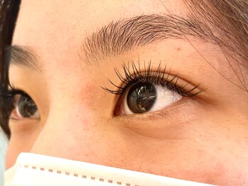 レーヴ アイラッシュ(Reve eyelash)/☆フラットラッシュ☆140本