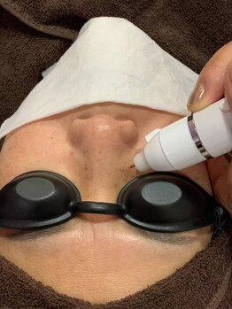 ビューティーラベンダー/