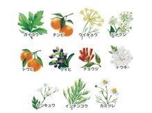 11種類の厳選されたYOSAに適したオリジナルハーブブレンド