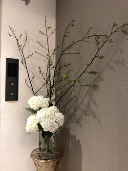 ヴィーアンドヴィーナス 田町店(VIE&Venus)/今月のお花