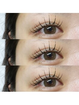 アイラッシュ ベイビーステップ(Eyelash Baby step)/フラットラッシュ120本