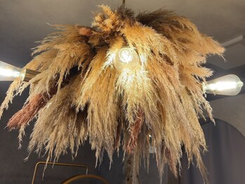 コエ(Coe.)/マツエク＆アイブロウCoe.