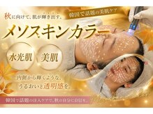 アン 銀座(ann)の雰囲気（【最新】水光肌を目指すなら→メソスキンカラーで本気の肌磨き）