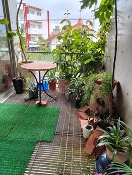 ほぐし手すっきりん 那覇小禄店/店舗植物　もみほぐし