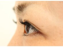 テクニコ(tecnico)/マツエク*フラットラッシュ