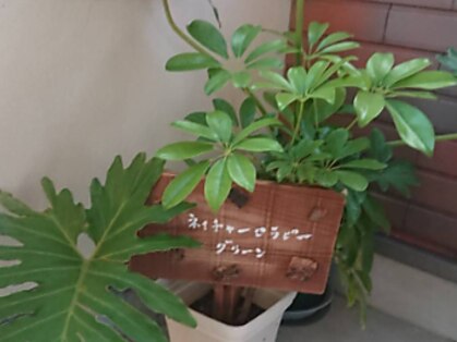 ネイチャーセラピー グリーンの写真