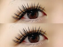 トムテ(tomte)/ダブルフラットラッシュ