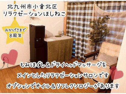 ほしねこの写真