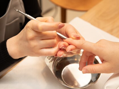ジプソフィリア(gypsophila)の写真
