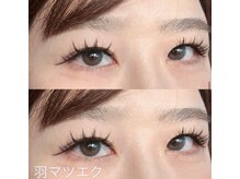 キュアバイアニーアンドジーノ(Qa by Annie&Gino)/羽マツエク