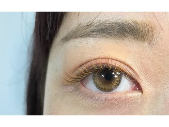 エイトラッシュ(8-lash)/brown × orange brown × gold