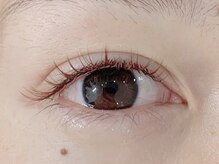 アオ 渋谷(ao.)/ニュアンスブラウン120本