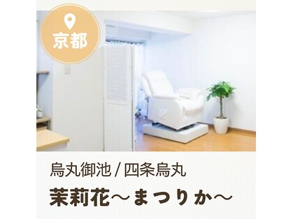 茉莉花の写真