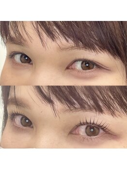 リンク(Link)/パリジェンヌラッシュリフト