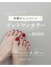【早割】フットワンカラー　¥6000