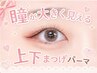 【何度でもOK】ぱっちりEYE◎ 上下まつげパーマ 華やかぱっちり仕上げ 7000円