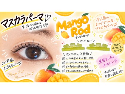 ココラッシュヤナガワ(二重ストレッチカール CoCo Lush 柳川)の写真