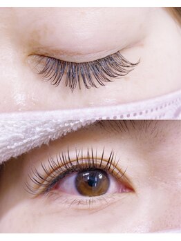 メメ(meme)/フラットラッシュ140本