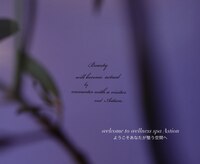 アスティオン(Astion)