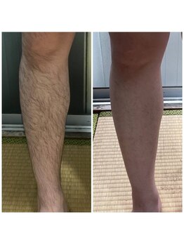 ビューティーラベンダー/